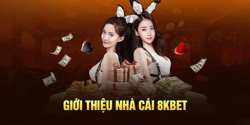 Giao diện được sắp xếp gọn gàng, dễ trải nghiệm